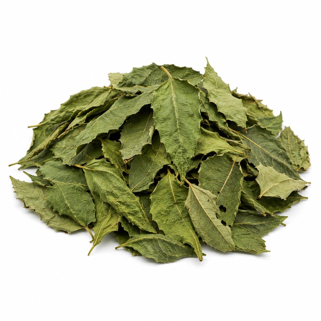 Motherland Goods Neem Leaves | Premium Dried Neem Leaf | Natural Botanical Herb for Tea, Infusions, Crafts & DIY Preparations (2 Oz, Whole)