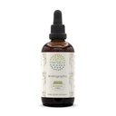 HerbEra Andrographis B120 Alcohol-Free Herbal Extract Tincture, Fah talai jone, Chuan Xin Lian, Andrographis paniculata Dried Herb (4 fl oz)
