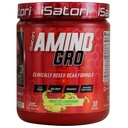 iSatori Amino-GRO BCAA σκόνη, διακλαδισμένη αλυσίδα αμινοξέα με γλουταμίνη, ηλεκτρολυτική σκόνη & Bio-GRO βιο-ενεργά πεπτίδια για την ανάπτυξη των μυών & μετά την αποκατάσταση προπόνηση, παγωμένη λεμονάδα (30 υπηρεσίες)
