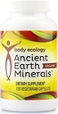 Body Ecology Ancient Earth Minerals | 100% Plant-Derived Trace Mineral Supplement | Builds Immunity| Promotes Detoxification | Non-GMO | 120 Vegetarian Count