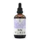 Kelp Alcohol-Free Natural Tincture Extract, Immune System Booster, Liquid Drops Made from 100% (4 fl oz)