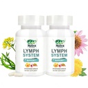Lymphatic Drainage Supplements with Dandelion,Echinacea & Bromelain Extracts, Lymph System Support for Men and Women - Cleanses Lymphatic 120 Count Bottles (2)