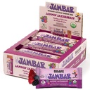 JAMBAR Energy Bars, Organic Protein Bars, Gluten Free Snacks, 10g Plant Protein, Vegan, Healthy Snacks, For Adults and Kids, USDA Organic, No Artificial Sweeteners, Jammin Jazzleberry, 12-Pack