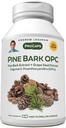 ANDREW LESSMAN Pine Bark OPC Anti-Oxidant Extracts 360 Capsules - Supports Tissues and Organ Systems to Neutralize Damaging Free-Radicals, Proanthocyanidins, Powerful Anti-oxidant, No Additives