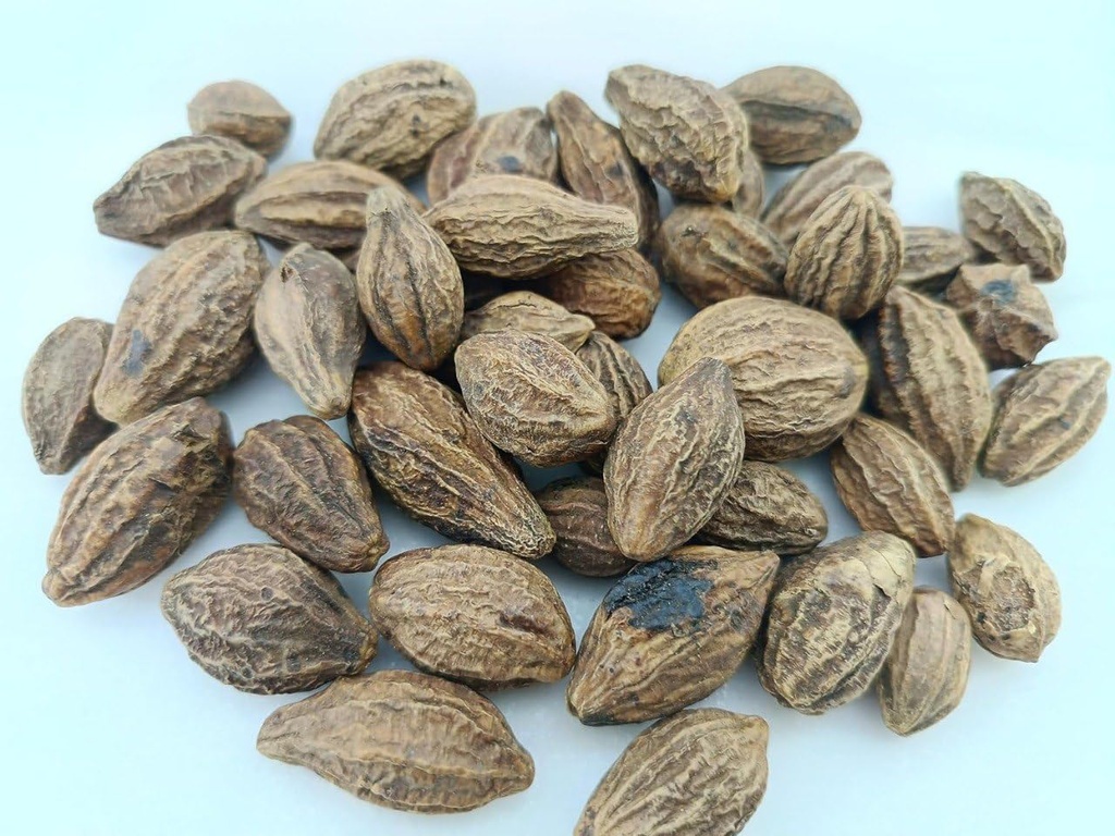 RJ Badi Harad Whole-Aralu | Inknut | Haritaki | Kadukkai-Harar-Terminalia.Chebula-Karakkaya(Pack of 1) 50g