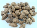 RJ Badi Harad Whole-Aralu | Inknut | Haritaki | Kadukkai-Harar-Terminalia.Chebula-Karakkaya(Pack of 1) 50g