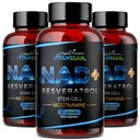 VITAMISAN NAD+ Resveratrol with NMN, NR & CoQ10 – Cellular Energy Support, Anti-Aging & Antioxidant Formula – Stem Cell & Nicotinamide Supplement – 90 Capsules (3 Bottles)