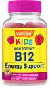 WellYeah Βιταμίνη B12 Gummies για τα παιδιά - Ενίσχυση της ενέργειας, βελτίωση της λειτουργίας του εγκεφάλου, και ενίσχυση του ανοσοποιητικού συστήματος - μη-GMO, γλουτένη-ελεύθερο - Μεγάλη γεύση Berry Flavor - εύκολο να μασήσει - 60 Gummies