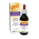 Naturalma Cordyceps (Cordyceps sinensis) Fungus ή Mushroom Αλκοόλ-ελεύθερο Βάμμα - 4 fl oz Liquid Extract in Drops - φυτικό συμπλήρωμα - Vegan