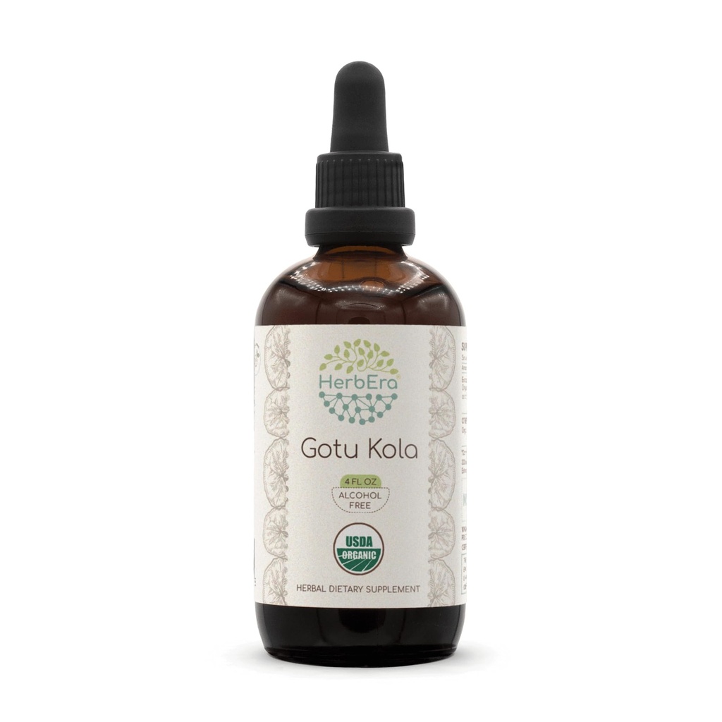 HerbEra Gotu Kola B120 USDA Organic Tincture | Alcohol-Free Extract, High-Potency Herbal Drops | Certified Organic Gotu Kola (Centella asiatica) Dried Herb (4 oz)