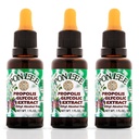 PONLEE Brazilian Green Bee Propolis Extract 100% Organic, No Alcohol – High Artepillin-C Concentration, Natural Antioxidant, 30ML