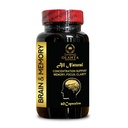 Brain Memory Supplement - Brain Support Supplement Focus & Learning Accuracy Cognitive Function, Energy & Better Concentration - 1 Bottle 60 Capsules