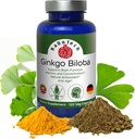 Ginkgo Biloba Support Brain Function, Supplements for Memory and Focus, Natural Antioxidant-Rich, Promotes Overall Health, 120 Vegetarian Capsules, GMP, 120 Count (Pack of 3)