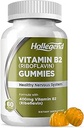 Βιταμίνη B2 Gummies Ριβοφλαβίνη 400mg, B2 Βιταμίνη Μασώμενο συμπλήρωμα, Vegan, Μη ΓΤΟ, Πορτοκαλί Γεύση, 60 Count