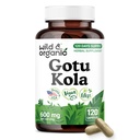 Wild & Organic Gotu Kola Capsules 600 mg - Brain Support - Gotu Kola Supplement - Centella Asiatica Powder - 120 Days of Supply - Vegan, No Fillers, Non-GMO - 120 Count