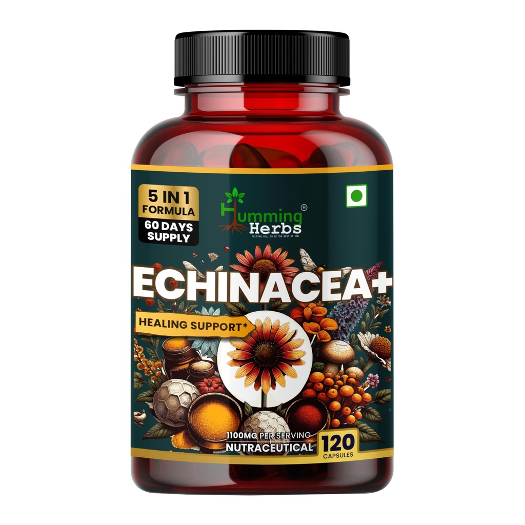 Humming Herbs Echinacea Complex — with Tulsi (Holy Basil), Quercetin, Vitamin C & Zinc — 1050 mg per Serving — 120 Capsules (60 Days) — Immune System & Seasonal Wellness Support
