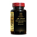 L-LYSINE 500 - Natural Amino Acid, L-Lysine Non GMO, Dietary Supplement 500 mg Pure Active L-Lysine for Immune Health, Support Connective Tissue Health - 1 Bottle 100 Counts