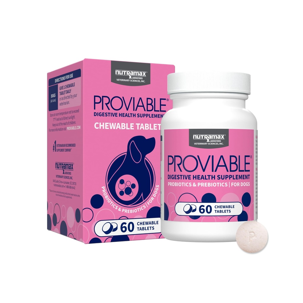 Nutramax Αποδεδειγμένα προβιοτικά για σκύλους, ημερήσιο συμπλήρωμα για την υγεία Digestive με πολλαπλά στελέχη των βακτηριδίων, προβιοτικά σκύλου Plus προβιοτικά, 60 μασώμενα δισκία