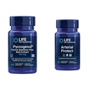Life Extension Pycnogenol French Maritime Pine Bark & Gotu Kola Arterial Health Supplements - 60 & 30 Vegetarian Capsules