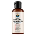 AMANDEAN Liposomal Glutathionone Συμπλήρωμα. Liquid Μειωμένη Setria 500mg. Ανοσολογική Υποστήριξη, Εγκεφαλική Υγεία, Αποτοξίνωση ήπατος, Υγεία δέρματος. Φωσφατιδυλοχολίνη από μη ΓΤΟ Ηλιοτρόπιο Λεκιθίνη. Χωρίς σόγια & Vegan.