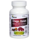 Sayan Siberian Chaga and Organic Reishi Mushroom Extract Supplement – 90 Κάψουλες/440mg Κάθε - Wild-Harvested, Antioxidant Blend για την υποστήριξη του ανοσοποιητικού συστήματος + Natural Energy Boost, Non-GMO, Gluten Free