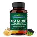 SANDHUHERBALS Sea Moss κάψουλες με μαύρο σπορέλαιο Ashwagandha Ginger Burdock Root 