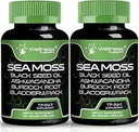 Irish Sea Moss Capsules, 17-in-1, Seamoss Black Seed Oil, 120 Count, Ashwagandha Burdock Root Organic Bladderwrack Capsules | Organic Sea Moss Advanced, Immune and Blood Pressure Support