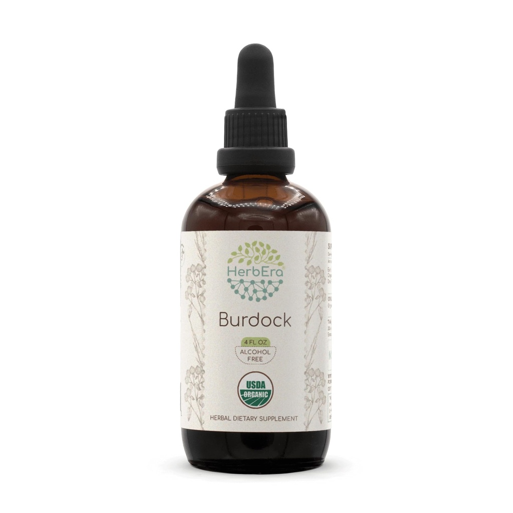 HerbEra Burdock B120 USDA Organic Tincture | Alcohol-Free Extract, High-Potency Herbal Drops | Certified Organic Burdock (Arctium lappa) Dried Root (4 oz)