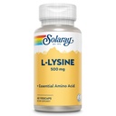 SOLARAY L L Lysine 500 mg Κάψουλες - Free-Form Essential Amino Acids Supplement - Ισχυρή υποστήριξη ευεξίας με L-Lysine Amino Acid - Lab Επαληθευμένο, 60-Day Εγγύηση, 60 VegCaps