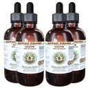 Hawaii Pharm Olive Alcohol-Free Liquid Extract, Professional Grade, Small Batch Crafted Olive (Olea europaea) Dried Leaf Glycerite Natural Herbal Supplement, 4x4 fl.oz