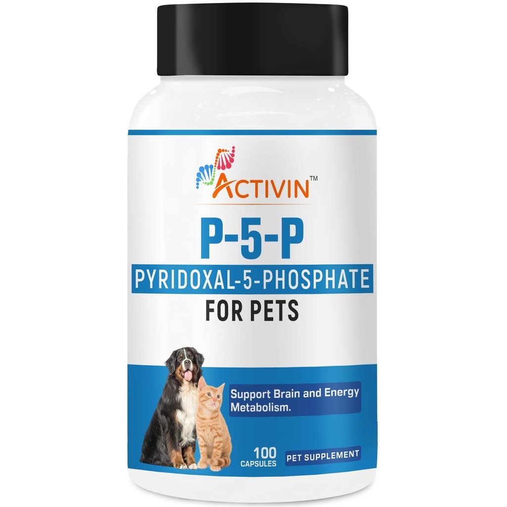 P 5 P Vitamin B6 for Dogs and Cats | Support Metabolism & Nervous System | Helps Support Energy Metabolism | 100 Capsules.