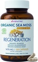 Sea Moss Capsules 1476mg – Organic Seamoss Pills Superfood with Irish Sea Moss, Bladderwrack & Burdock Root | 120 Vegan Capsules for Vitality, Energy & Skin Support – Made in USA
