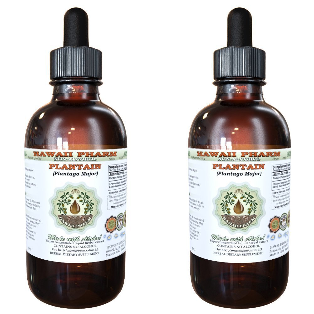 Hawaii Pharm Plantain Alcohol-Free Liquid Extract, Professional Grade, Small Batch Crafted Plantain (Plantago Major) Dried Leaf Glycerite Natural Herbal Supplement, 2x2 fl.oz