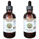 Hawaii Pharm Plantain Alcohol-Free Liquid Extract, Professional Grade, Small Batch Crafted Plantain (Plantago Major) Dried Leaf Glycerite Natural Herbal Supplement, 2x2 fl.oz