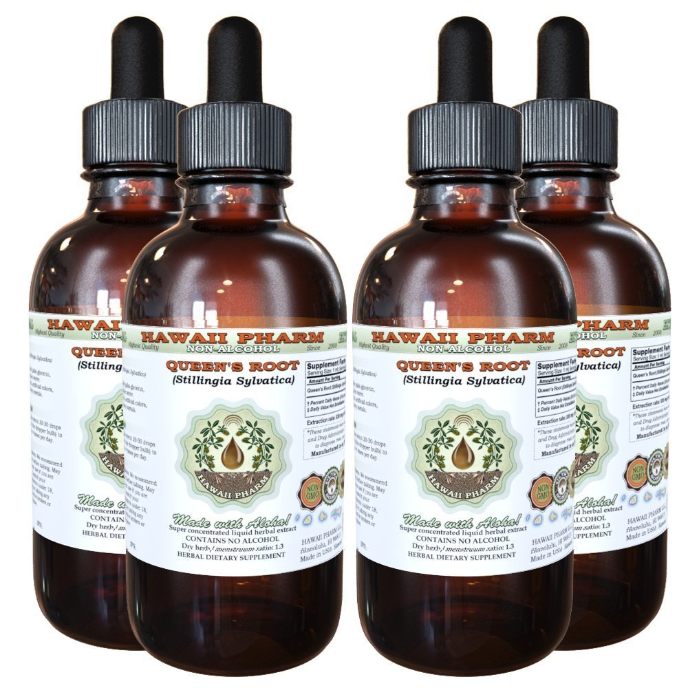 Hawaii Pharm Queen's Root Alcohol-Free Liquid Extract, Queen's Root (Stillingia Sylvatica) Dried Root Glycerite Natural Herbal Supplement, USA 4x4 fl.oz