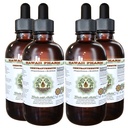 Hawaii Pharm Chrysanthemum Alcohol-Free Liquid Extract, Professional Grade, Small Batch Chrysanthemum x morifolium Dried Flower Glycerite 4x4 oz