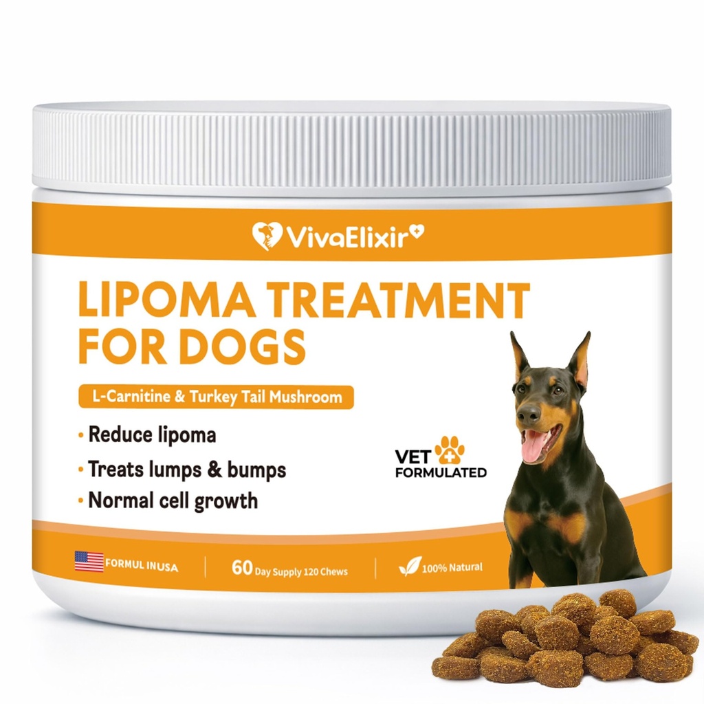 Lipoma Treatment for Dogs – L-Carnitine Helps Maintain Fat Metabolism, Energy, and Vitality; Turkey Tail, Reishi, Curcumin, and Coenzyme Q10 Help Promote Cellular, Immune, and Overall Health