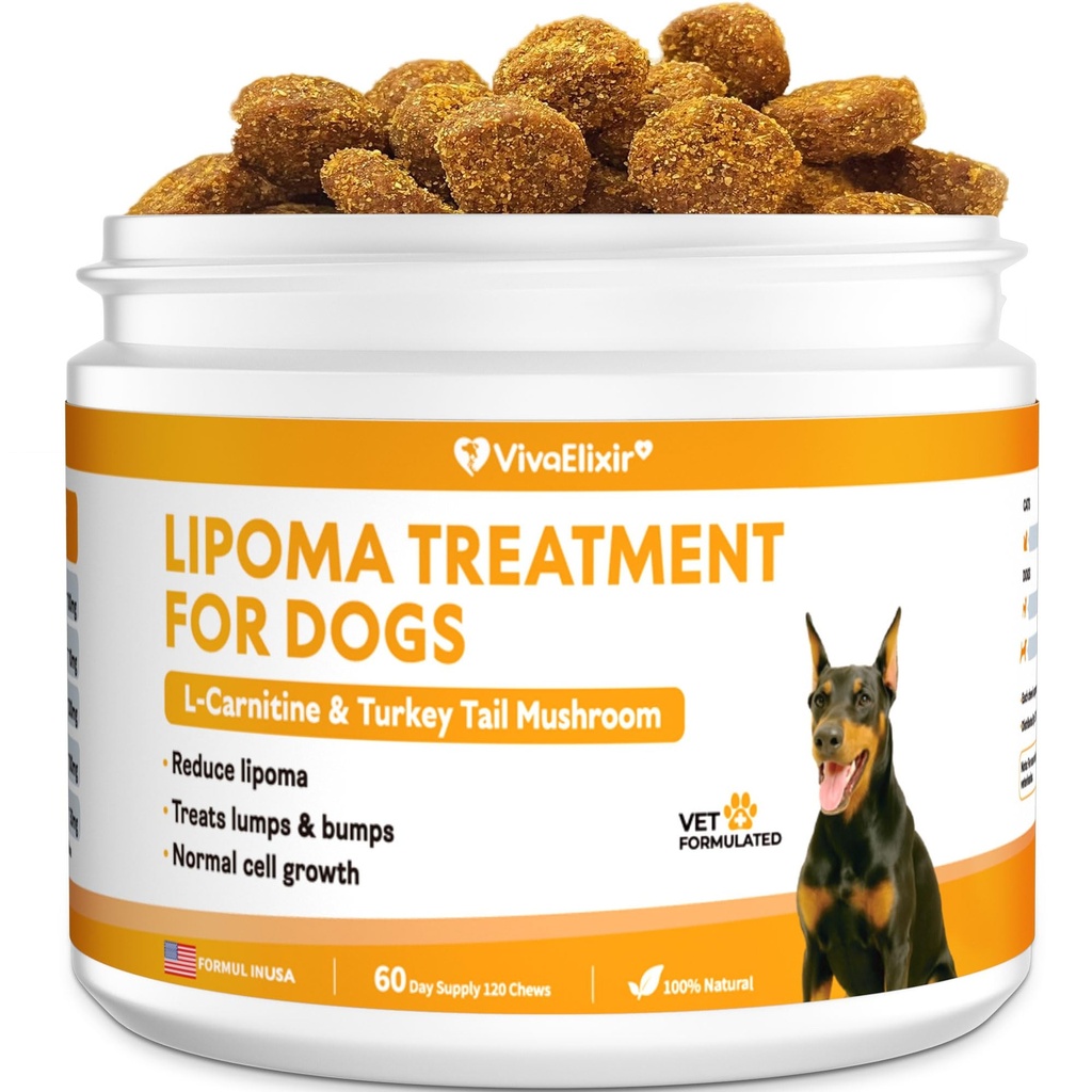 Lipoma Treatment for Dogs – L-Carnitine Helps Maintain Fat Metabolism, Energy, and Vitality; Turkey Tail, Reishi, Curcumin, and Coenzyme Q10 Help Promote Cellular, Immune, and Overall Health
