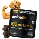 Dog Multivitamin, 24-in-1 Chewable Supplement, Probiotics, 120ct | Vitamins A, B, C, D, and E for Skin and Shiny Coat, Digestive Health Blend, Heart and Eye Health, Daily Chew, Chicken Flavor