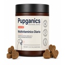 Multivitamin Daily Soft Chews, 90 Soft Chews, Probiotics for Dogs, 5 in 1 Multivitamin, Salmon Flavor (1)