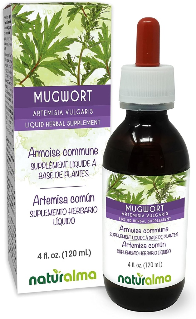 Naturalma Mugwort (Artemisia vulgaris) βότανο με λουλούδια Αλκοόλ-ελεύθερο Βάμμα - 4 fl oz υγρό εκχύλισμα σε σταγόνες - συμπλήρωμα βοτάνων - Vegan