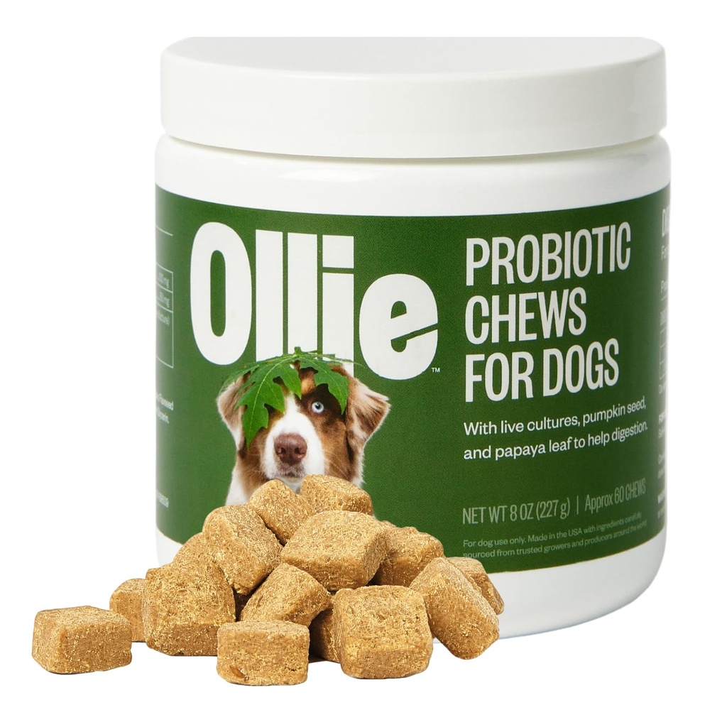 Ollie Belly Rubs Probiotic Dog Chews, Appx. 60 Count | Digestive health probiotic chews with natural ingredients to relieve upset stomach and support gut and immune health.