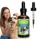 Pet Wellbeing Slippery Elm for Dogs - Gut Comfort & Throat Soothing, 2 oz | NASC Certified & Vet-Formulated Liquid Supplement with Organic Slippery Elm for Healthy Gut, Throat Tissue & Occasional Cough