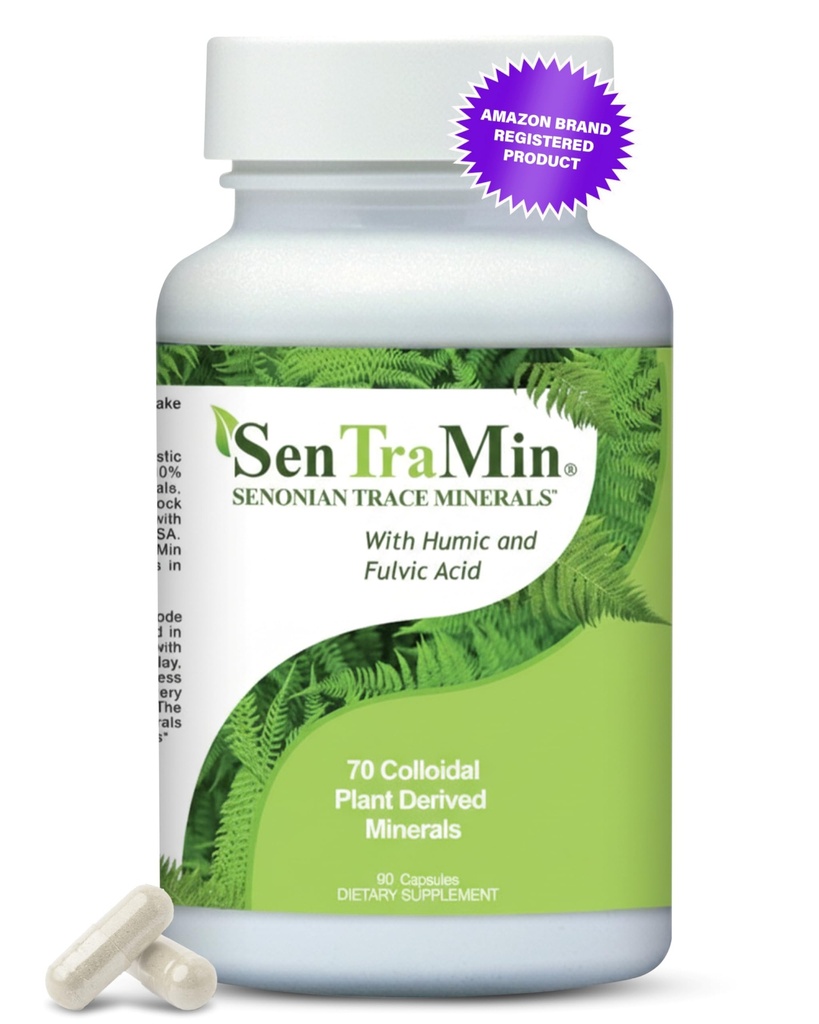 Plant Based Mineral Complex, 90 Vegetable Capsules | Daily Wellness, Energy & Immune Support with70 Plant Sourced Colloidal Trace Minerals with Antioxidants, Enzymes & More
