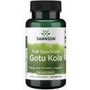Swanson Gotu Kola 435 Milligrams 60 Capsules | Ancient Energizing Herb that Supports Vascular Health and Healthy Blood Flow, Easy-to-Swallow Capsules