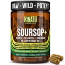Soursop 24-in-1 Superfood, Shilajit, Sea Moss, Lions Mane, Ashwagandha 60ct | Immune Energy Focus Support, Black Seed Oil, Rhodiola, Turmeric, Ginger, 30-Day Supply, Lab Tested, Made in USA