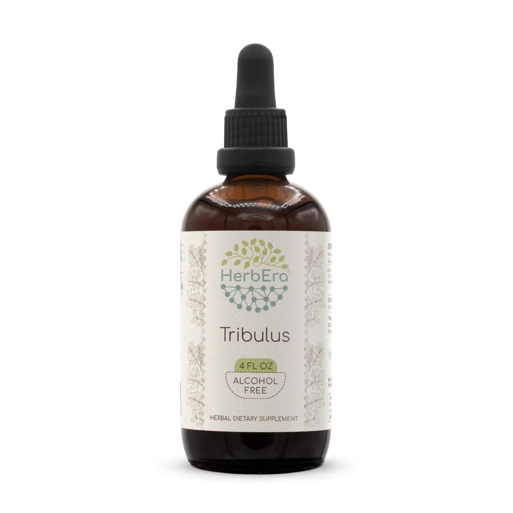 HerbEra Tribulus B120 εκχύλισμα χωρίς αλκοόλη Βάμμα βοτάνων, συμπυκνωμένες σταγόνες υγρού Φυσικό Tribulus (Tribulus Terrestris) Αποξηραμένα φρούτα (4 fl oz)