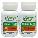 Generic O r g a n i c Shilajit capsule 60 Servings per Bottle 500mg ayurvedic no artificial ingredients included (2 Packs)