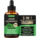 Venture Pal 5-in-1 Liquid Chlorophyll Drops, 100mg Chlorophyllin with Fresh Mint Botanical Complex, Everyday Green Support, Vegan, 60 Servings