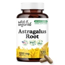 Wild & Organic Astragalus Capsules 1200 mg - Immune Support - Astragalus Root Supplement - 60 Days of Supply - Vegan, No Fillers, Non-GMO - 120 Count
